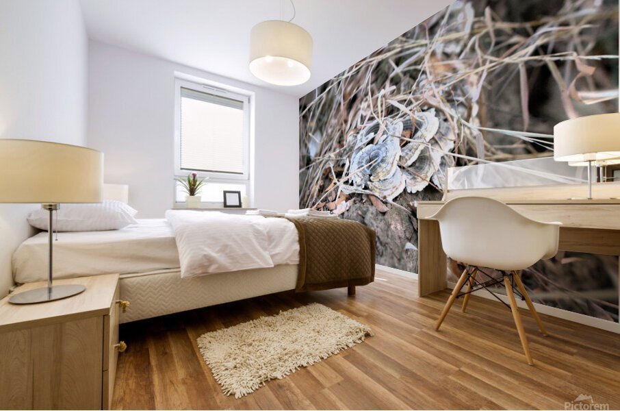 Fungus Mural print