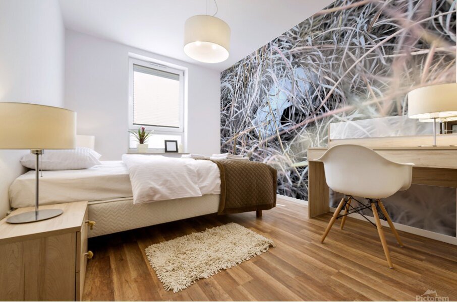 Skull Mural print