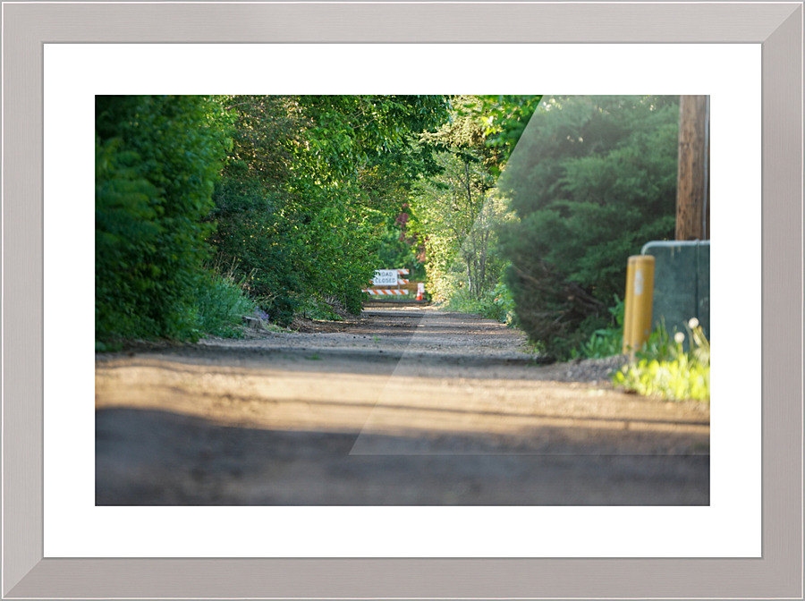 dead end road 4 Picture Frame print