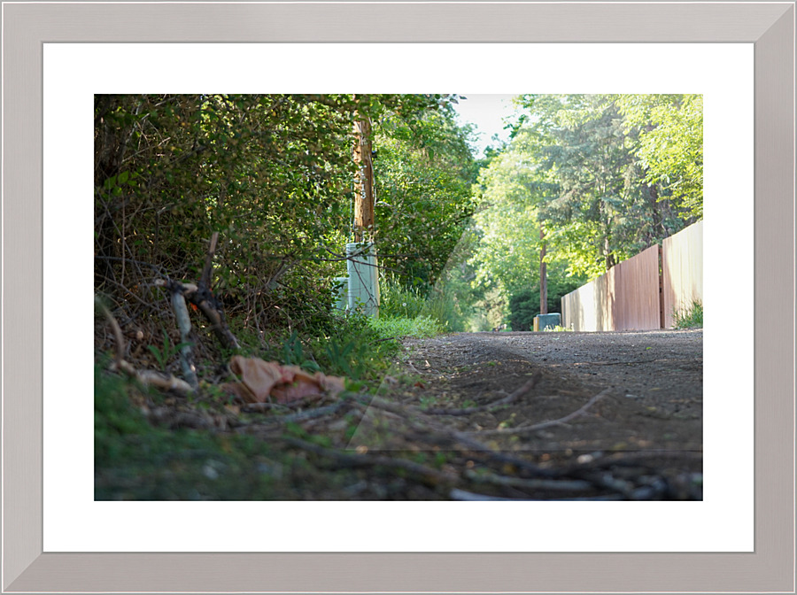 dead end road 2 Picture Frame print
