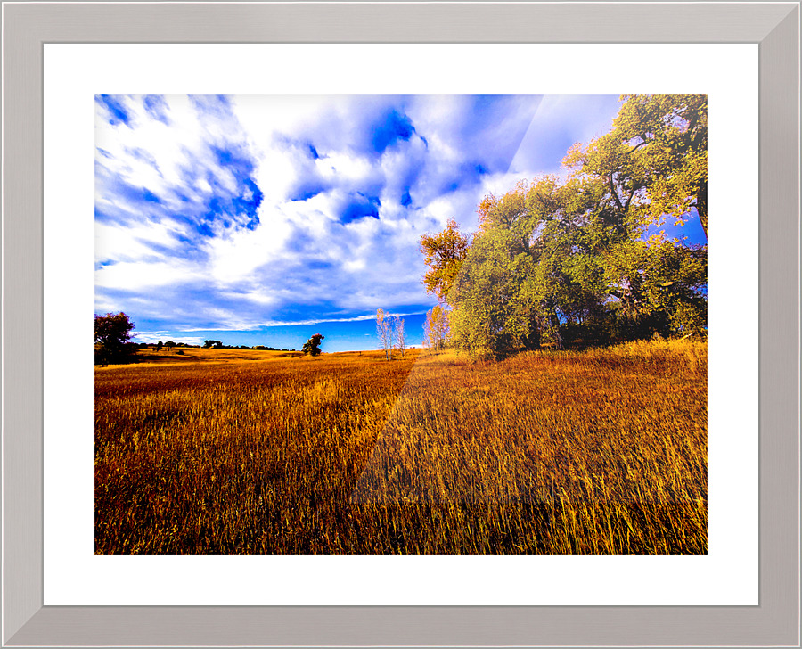 untitled Picture Frame print