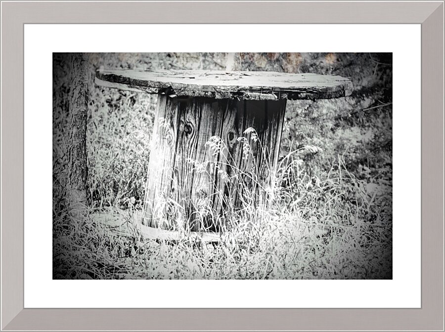 DSC07605 Original Copy Picture Frame print