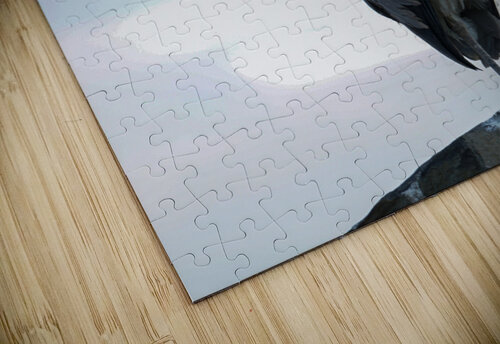 overwatch2 Kyle Werthmann puzzle