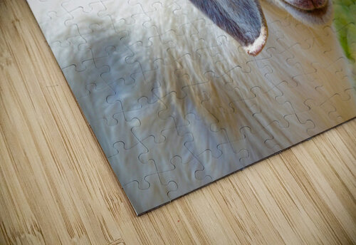 goatie Kyle Werthmann puzzle