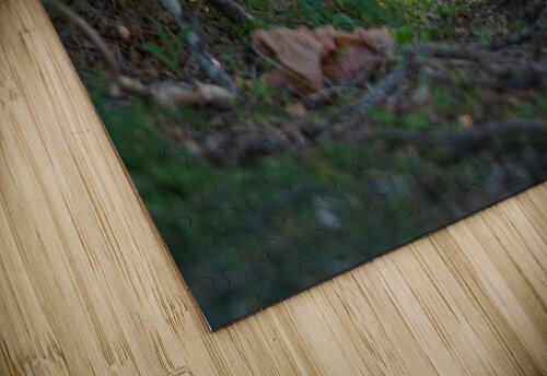 dead end road 2 Kyle Werthmann puzzle