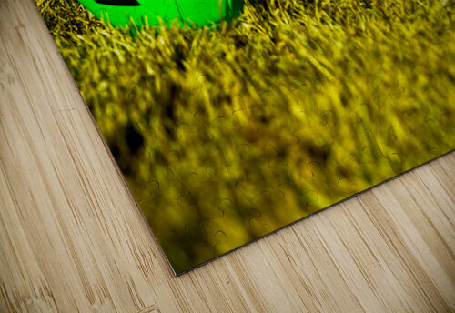 green ball Kyle Werthmann puzzle