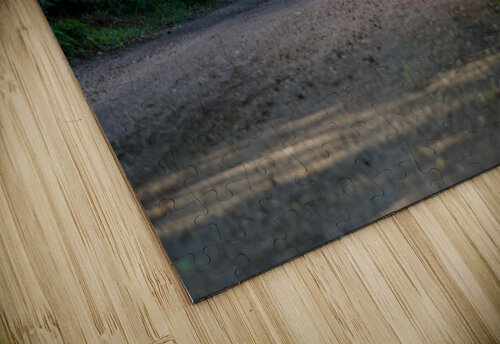 dead end road 1 Kyle Werthmann puzzle