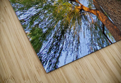 tree1 Kyle Werthmann puzzle