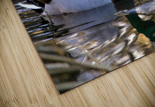 ducks  Kyle Werthmann puzzle