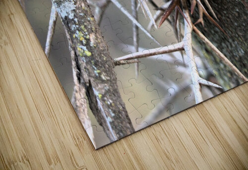 Thorns Kyle Werthmann puzzle