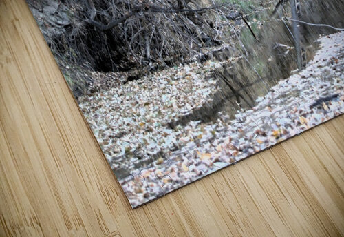 Away Out Kyle Werthmann puzzle