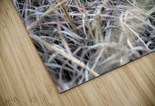 Skull Kyle Werthmann puzzle