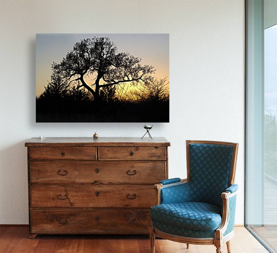 Sundown Reproduction