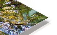 tree1 HD Metal print