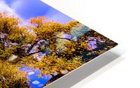 untitled HD Metal print