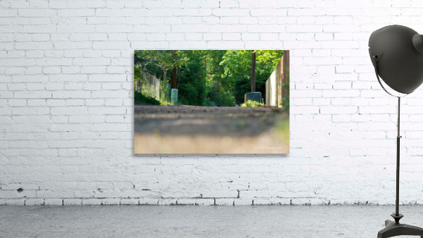 dead end road 3 Wall Preview