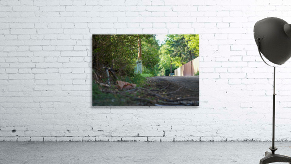 dead end road 2 Wall Preview