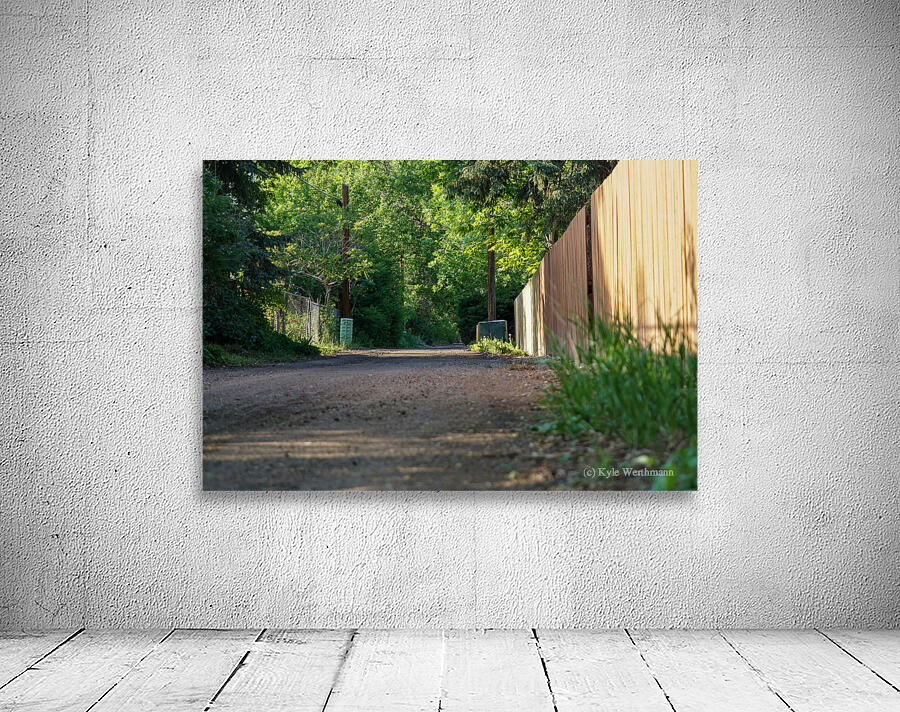 dead end road 1 Wall Preview