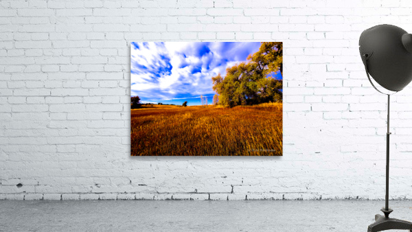 untitled Wall Preview
