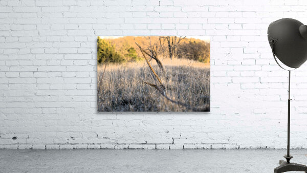 Fence line Wall Preview