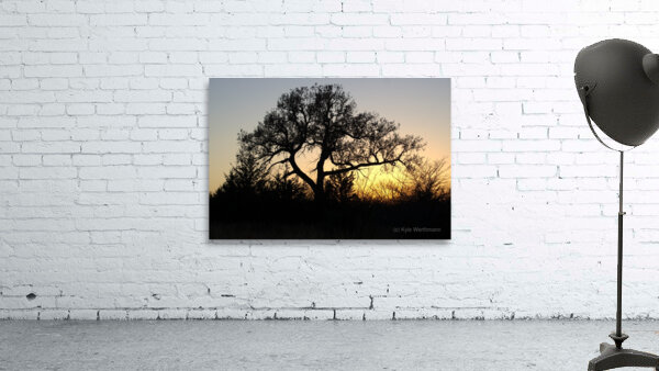 Sundown Wall Preview