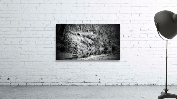 IMG 1024 Copy Wall Preview