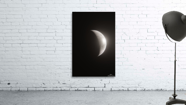 Our Planet  21 Wall Preview