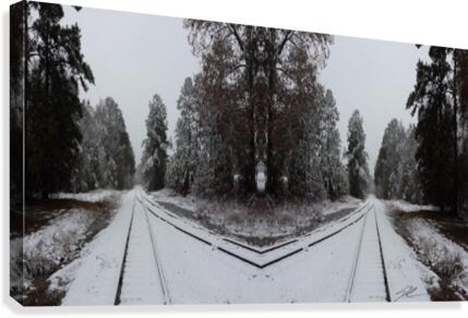 Gateway Canvas Print