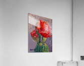 Hedgehog Bloom  Acrylic Print