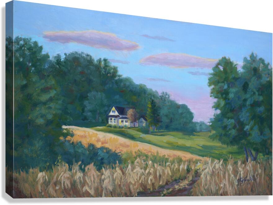 Gold lit Field Canvas Print