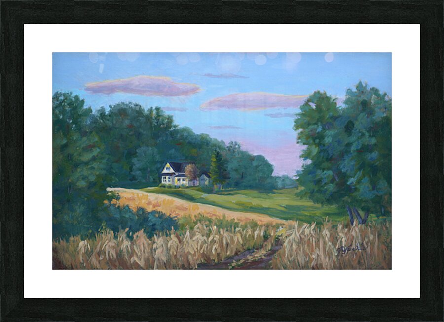 Gold lit Field Picture Frame print