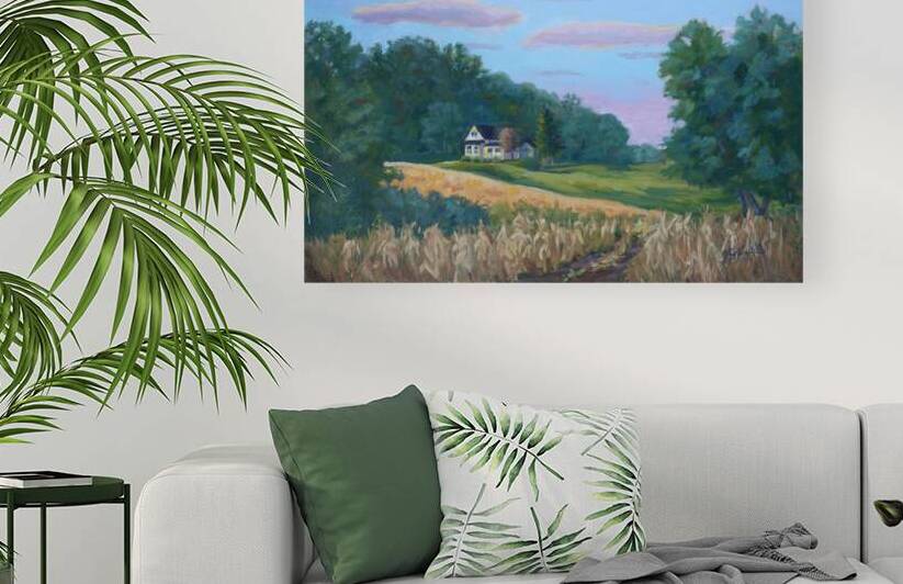 Gold lit Field Reproduction