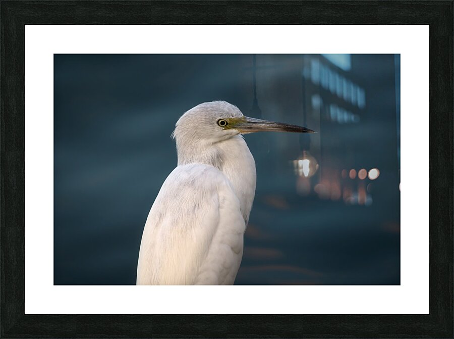 Blue Not Blue Picture Frame Printing