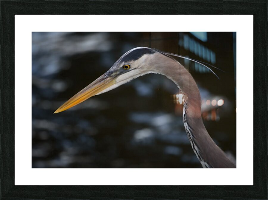 Intent Picture Frame Printing