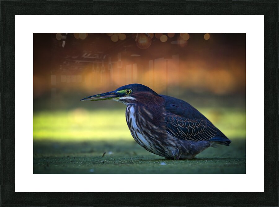 In the Shadows Picture Frame Printing