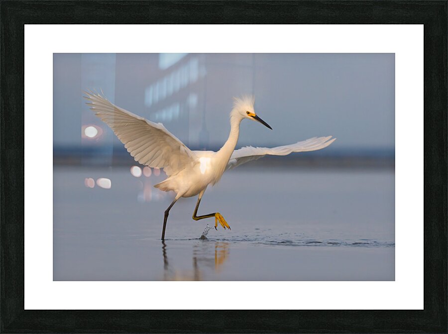 Frantic Picture Frame Printing