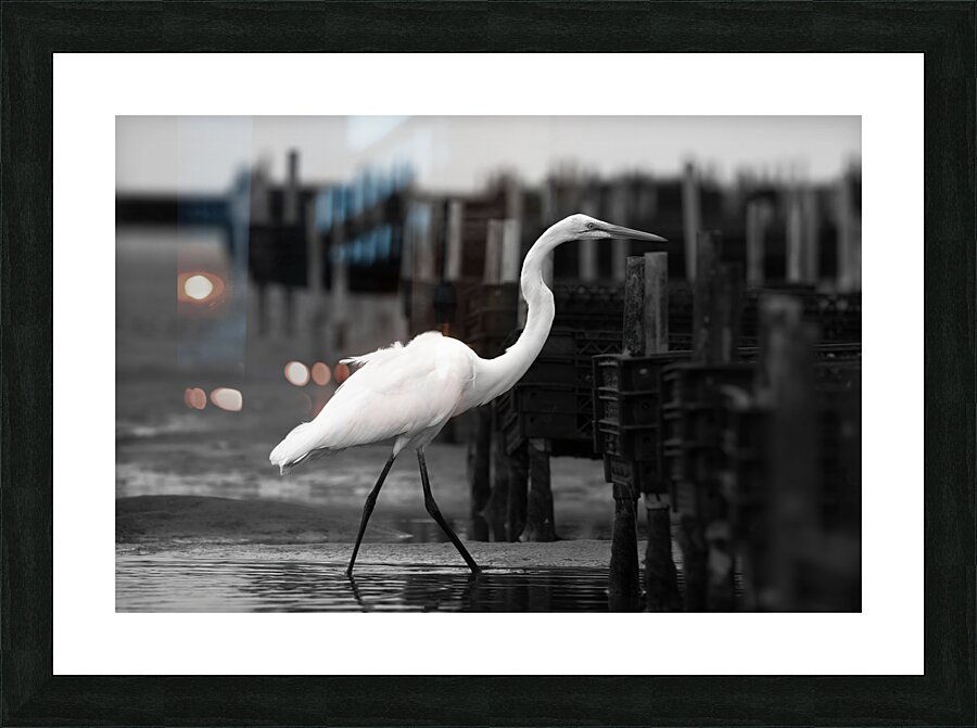 Crossing the Threshold Picture Frame print