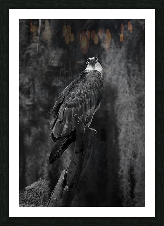 Monochrome Picture Frame Printing