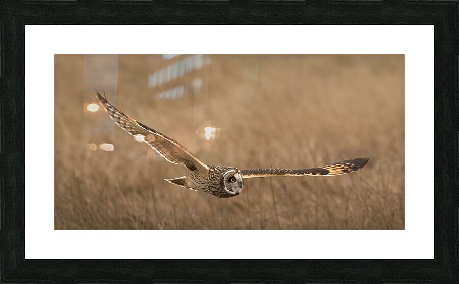 Low And Slow Picture Frame Printing