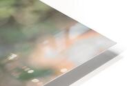 In Search Of HD Metal print