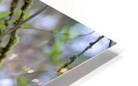 Mottled HD Metal print