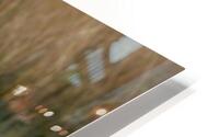 Still As Stone HD Metal print