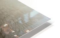 Demure HD Metal print