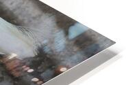 Attack Ready HD Metal print