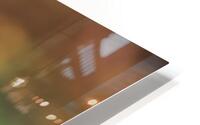 Plump HD Metal print
