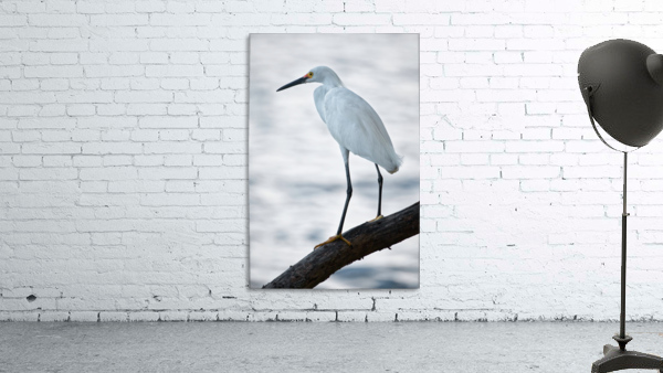 Pensive Wall Preview