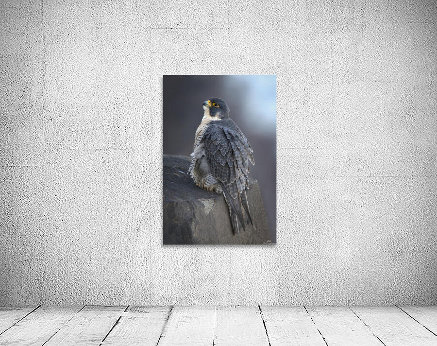 Ruffled Wall Preview