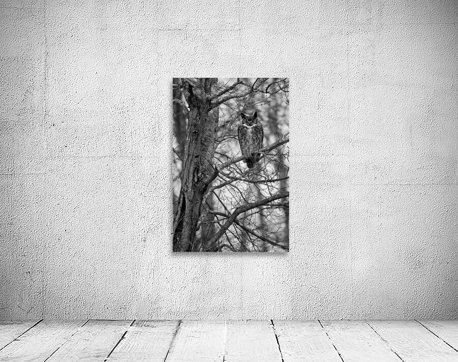 Winter Woods Wall Preview