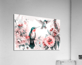 Hummingbirds  Acrylic Print