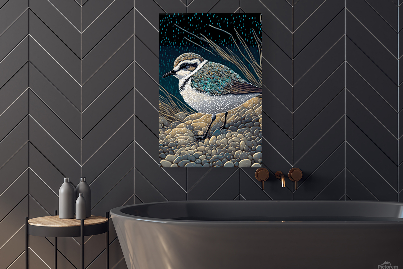 Beaded Snowy Plover  Reproduction
